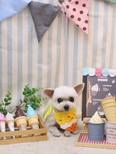 20250509じゅのんくん